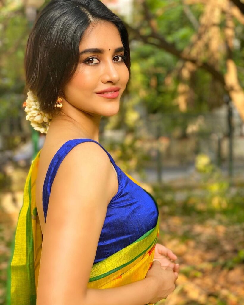 Nabha Natesh Latest Images, Nabha Natesh Latest  Beautiful Photos, Nabha Natesh Latest  Pics, Latest Telugu Cinema News, Latest News Of Tollywood, Nabha Natesh,