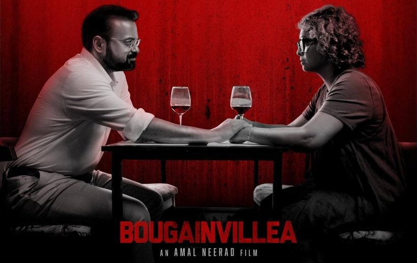 Bougainvillea Movie Kerala Collections, Bougainvillea Movie Day 1 Kerala Collections, Kunchacko Boban New Movie, Amal Neerad New movie, Mollywood Boxoffice