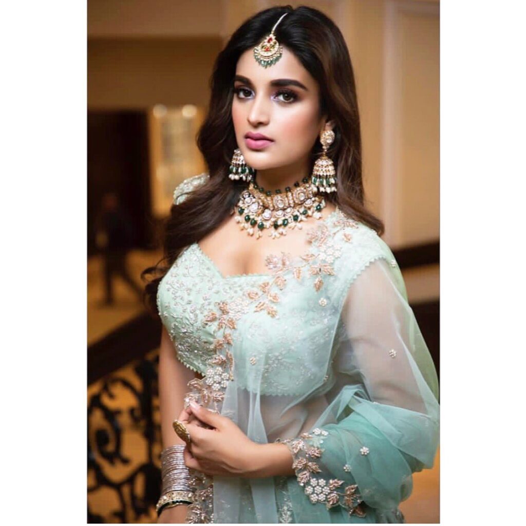 Nidhhi Agerwal Family, Nidhhi Agerwal Age, Nidhhi Agerwal Height, Nidhhi Agerwal Father, Nidhhi Agerwal Mother, Nidhhi Agerwal Birth Place, Nidhhi Agerwal DOB